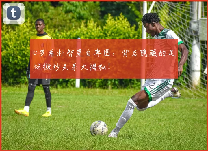 c罗看朴智星自卑图，背后隐藏的足坛微妙关系大揭秘！