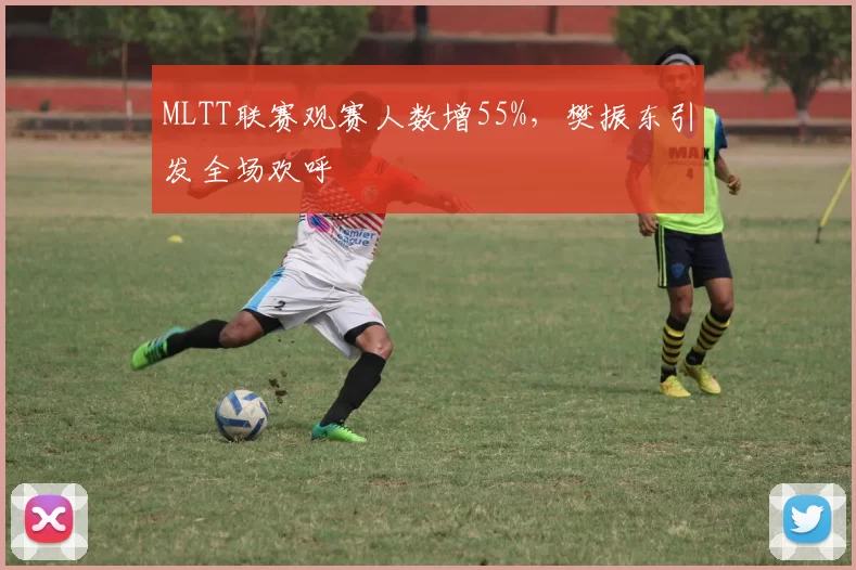 MLTT联赛观赛人数增55%，樊振东引发全场欢呼