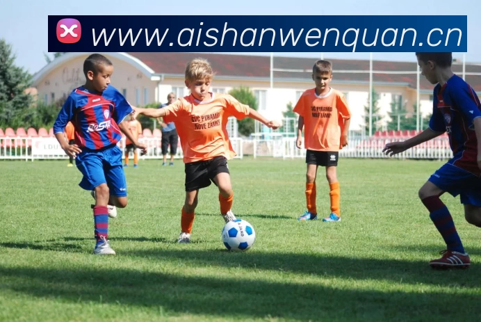 开云·kaiyun(中国)体育官方网站 - 登录入口服务体系